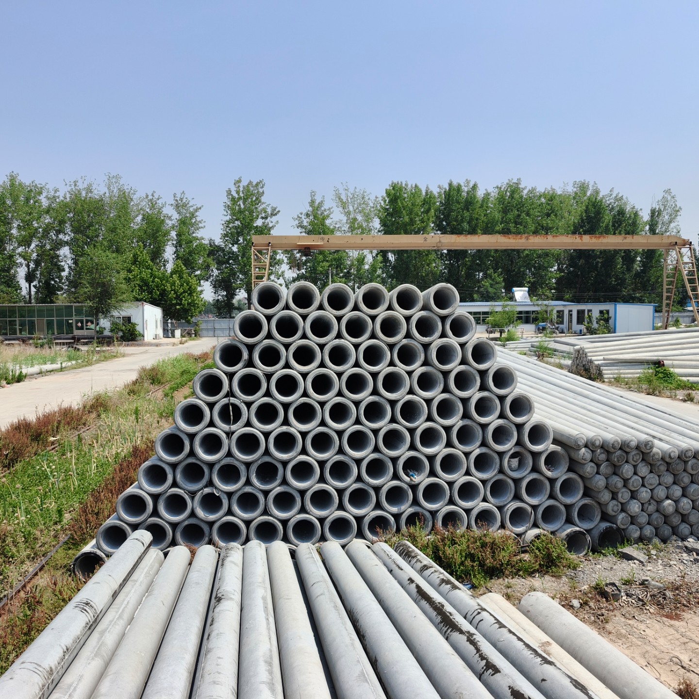 兰陵190×10米水泥电线杆